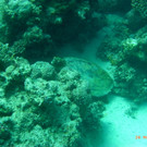 M0013678.JPG