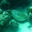 M0013679.JPG