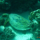 M0013680.JPG