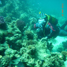M0013682.JPG
