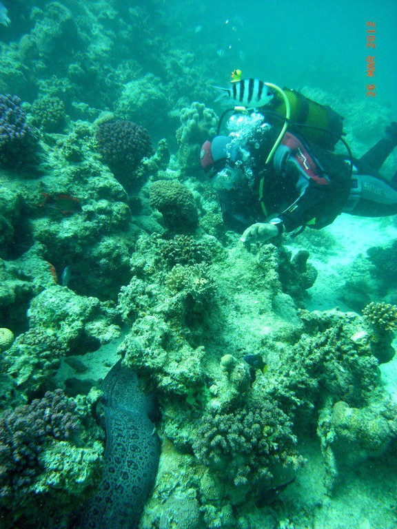 M0013682.JPG