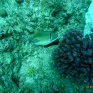 M0013688.JPG