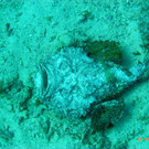 M0013691.JPG