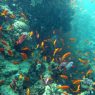 M0013693.JPG
