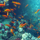 M0013694.JPG