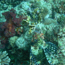 M0013696.JPG