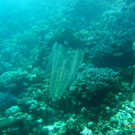 M0013703.JPG