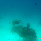 M0013707.JPG