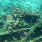 M0013719.JPG