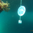 M0013730.JPG