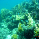 M0013733.JPG