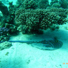 M0013734.JPG
