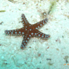 M0013737.JPG