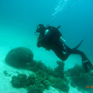 M0013744.JPG