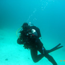 M0013745.JPG