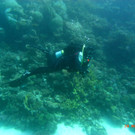 M0013746.JPG