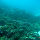 M0013748.JPG