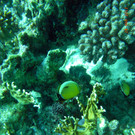 M0013759.JPG