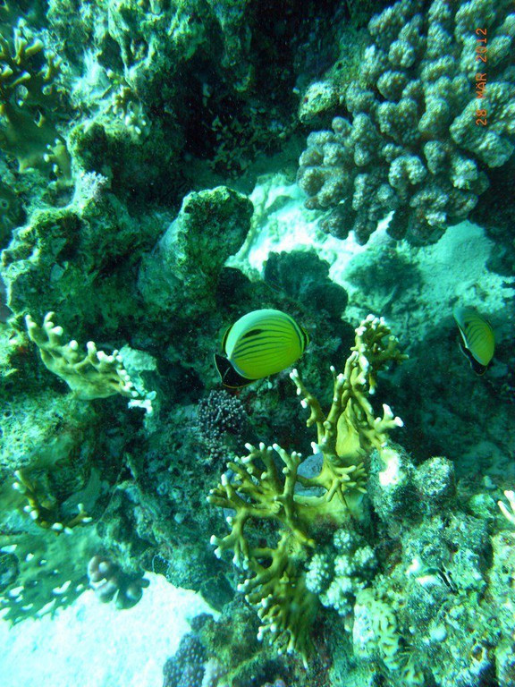 M0013759.JPG