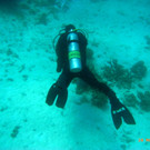 M0013761.JPG