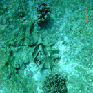 M0013762.JPG