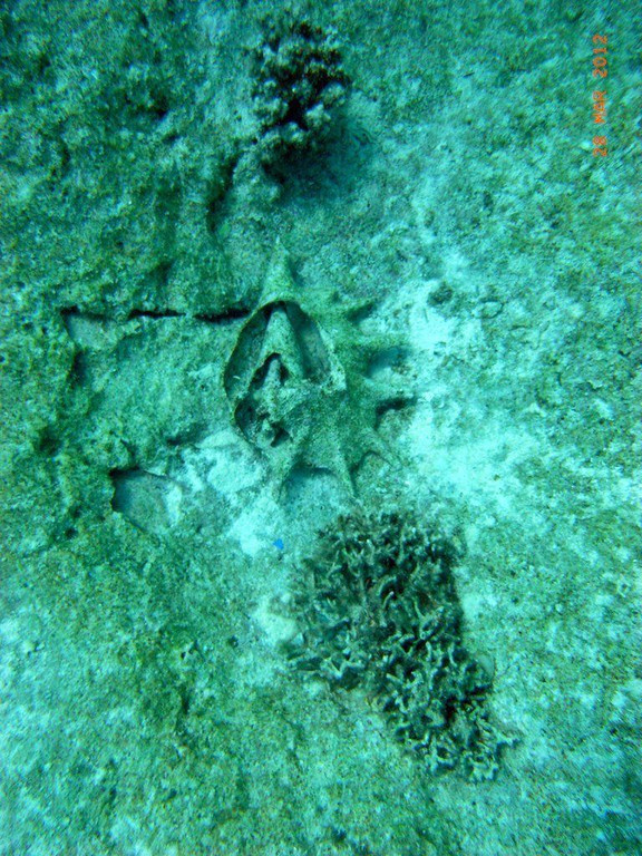 M0013762.JPG