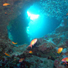 M0013764.JPG