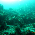 M0013777.JPG