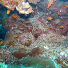 M0013778.JPG