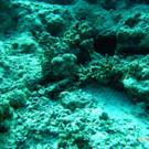 M0013780.JPG