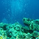 M0013782.JPG