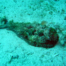 M0013789.JPG