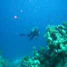 M0013790.JPG