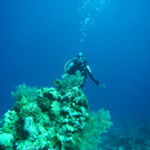 M0013791.JPG