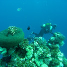 M0013793.JPG