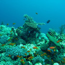 M0013794.JPG