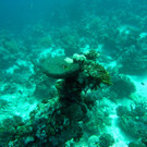 M0013795.JPG