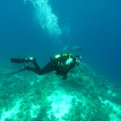 M0013798.JPG