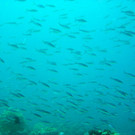 M0013800.JPG