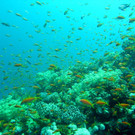 M0013801.JPG
