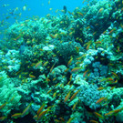 M0013802.JPG