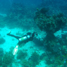 M0013815.JPG