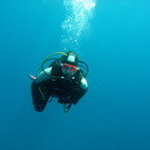 M0013819.JPG