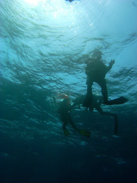 M0013824.JPG