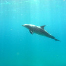 M0013826.JPG