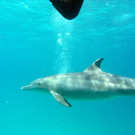 M0013830.JPG