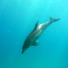 M0013832.JPG