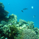 M0013843.JPG