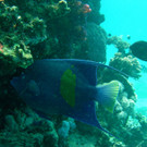 M0013846.JPG