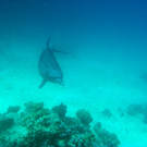 M0013848.JPG